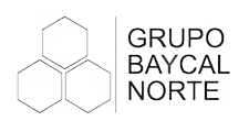 grupo-baycal